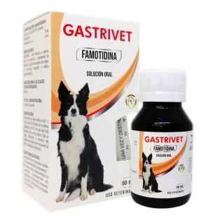 GASTRIVET